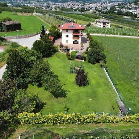 Il Gallo Pergine Valsugana Zewnętrze zdjęcie