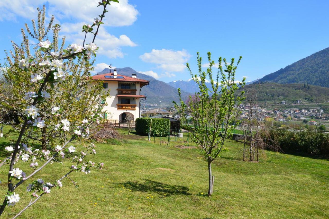 Il Gallo Pergine Valsugana Zewnętrze zdjęcie